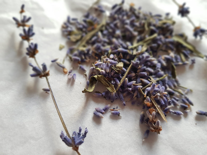 Can Aromatherapy help you cope with anxiety & overwhelm?